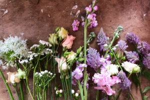 Cvetlice