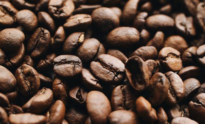 Kava arabica
