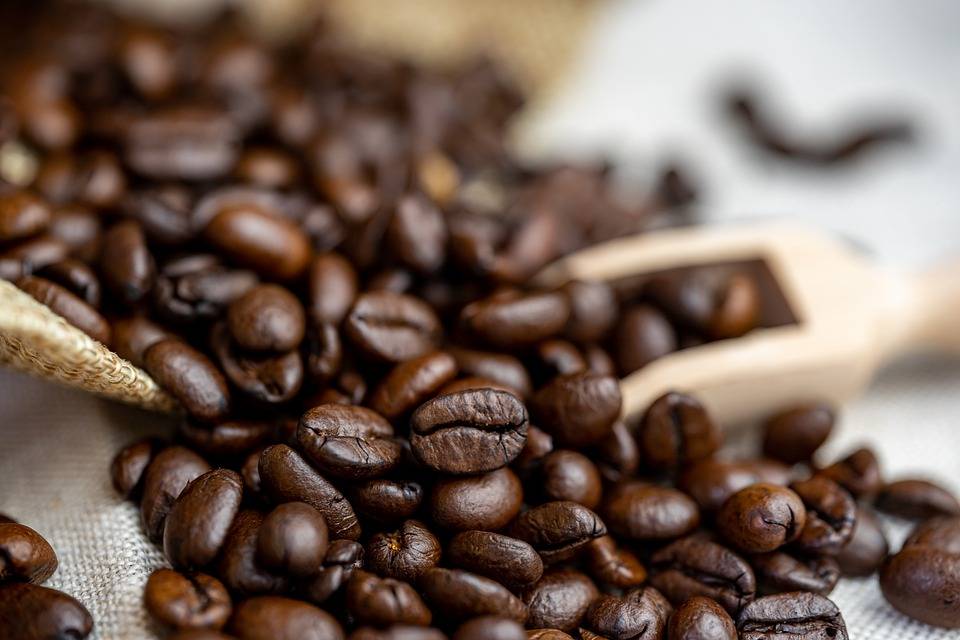 Kava - kavna zrna