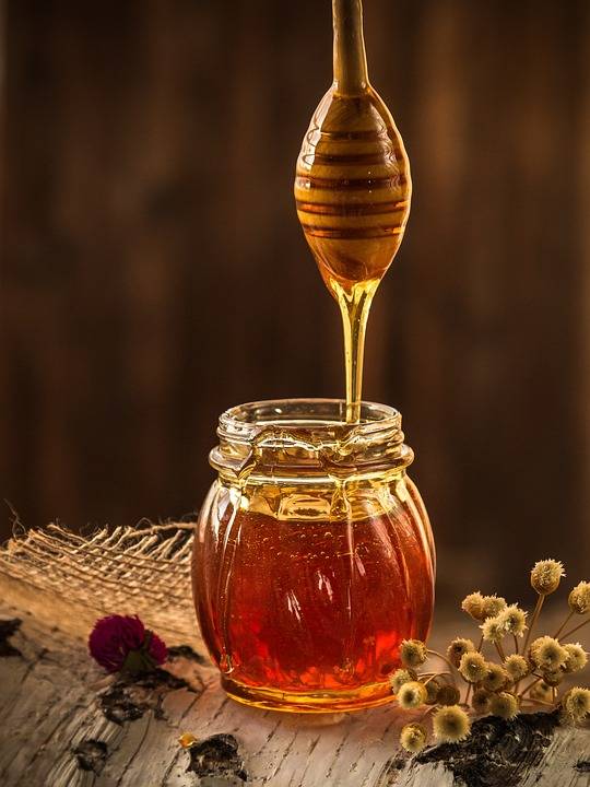 domac-cvetlicni-med