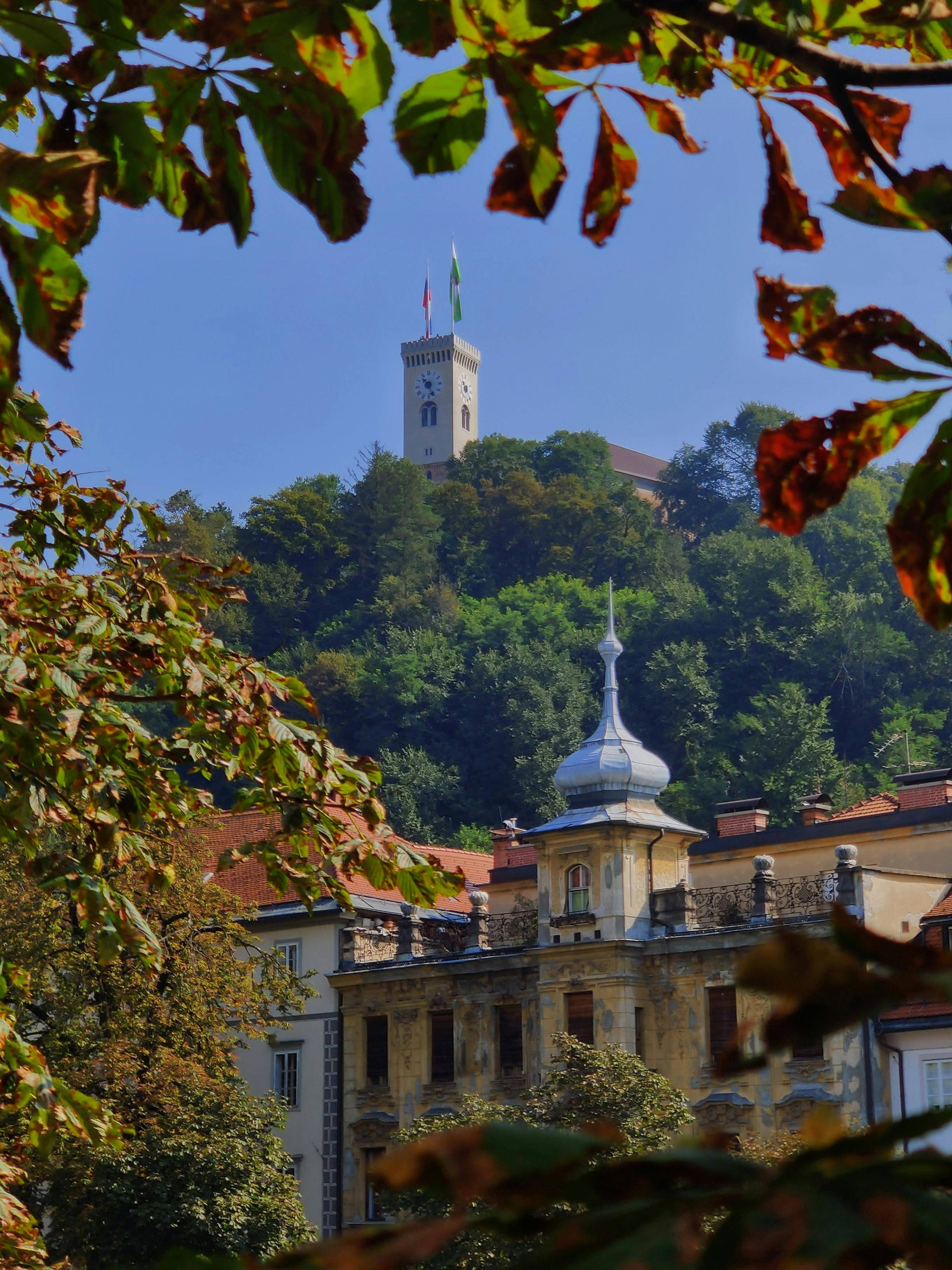 prodaja novogradenj v Ljubljani