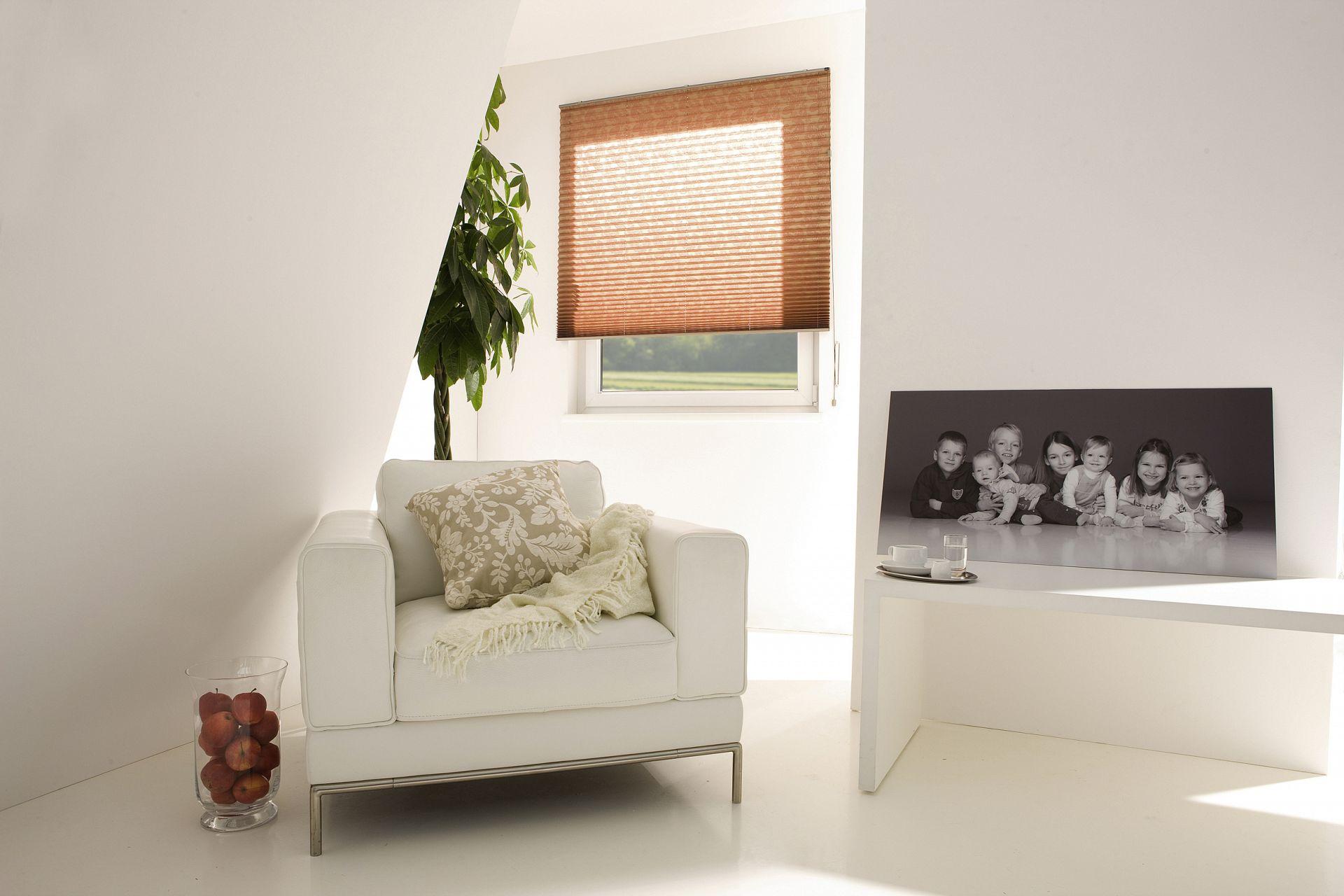 plise senčilo na oknu v svetli sobi