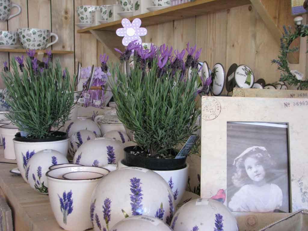 Spletna trgovina | Arboretum Volčji Potok Spletna trgovina