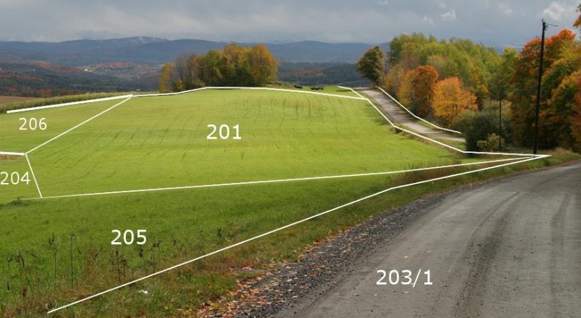 Ureditev meje