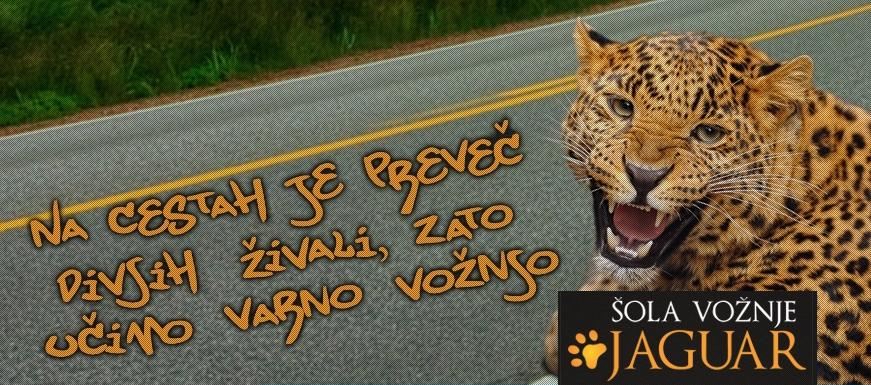 Šola varne vožnje Šola varne vožnje