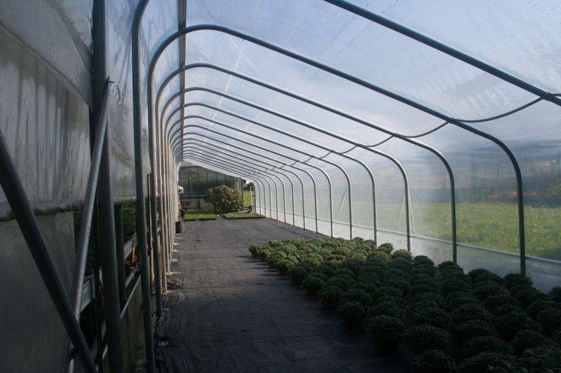 Folija PVC za rastlinjak