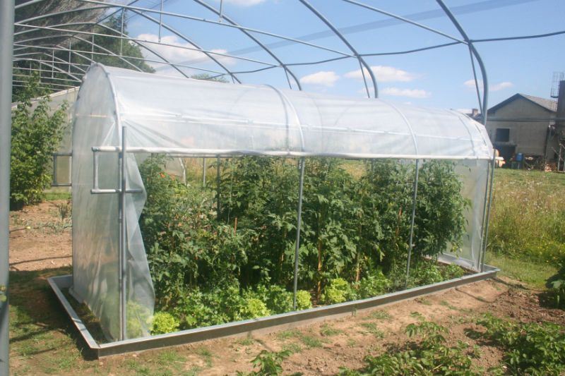 pvc folija za rastlinjak pozimi
