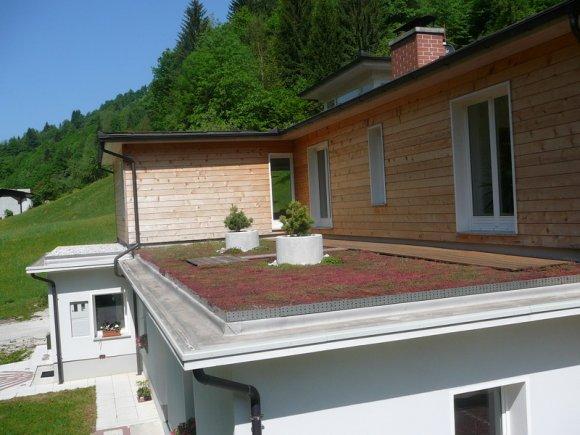 Zelena ravna streha Zelena ravna streha v Sloveniji