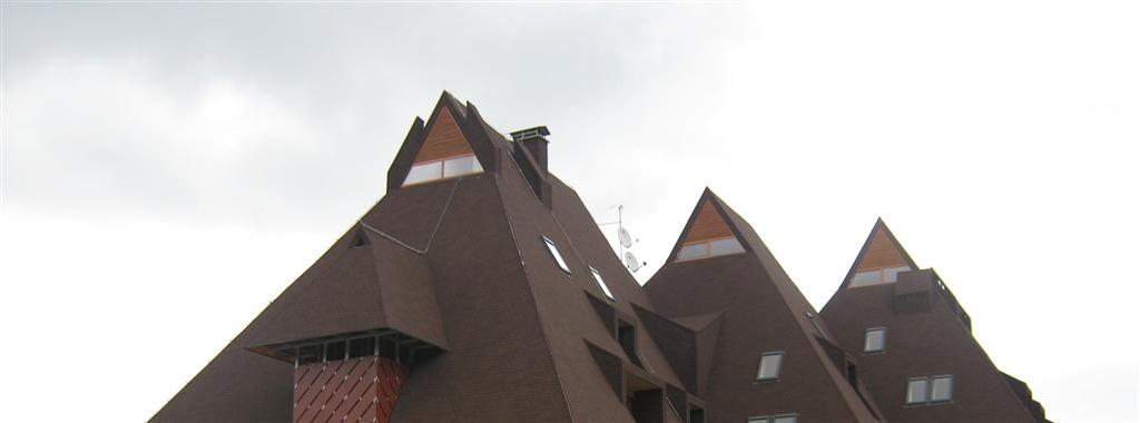 Poševna streha