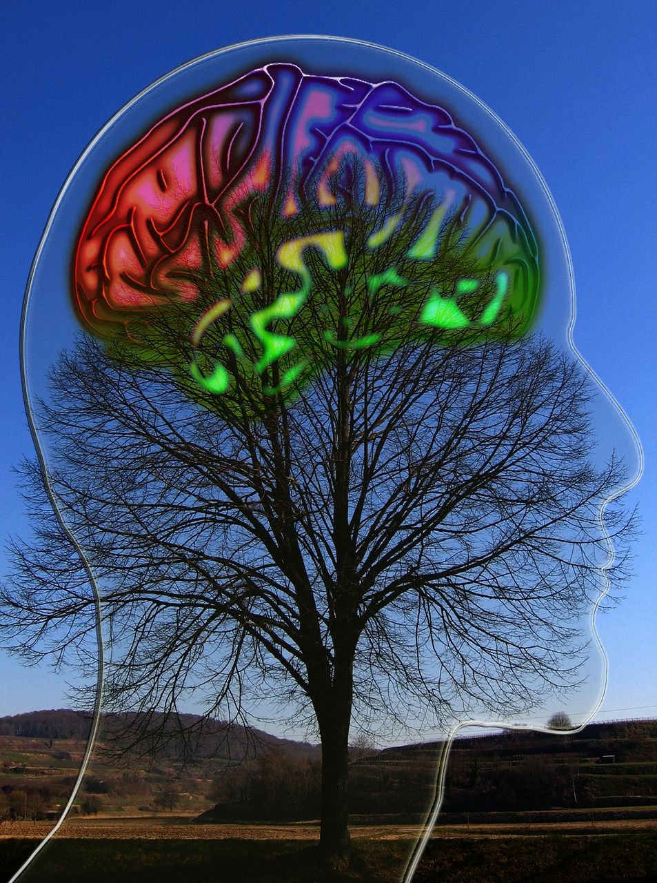 nlp
