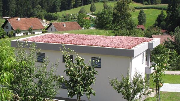 Detajl ravne strehe