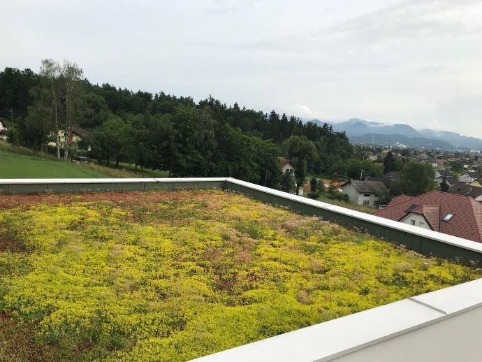zelena streha rastline