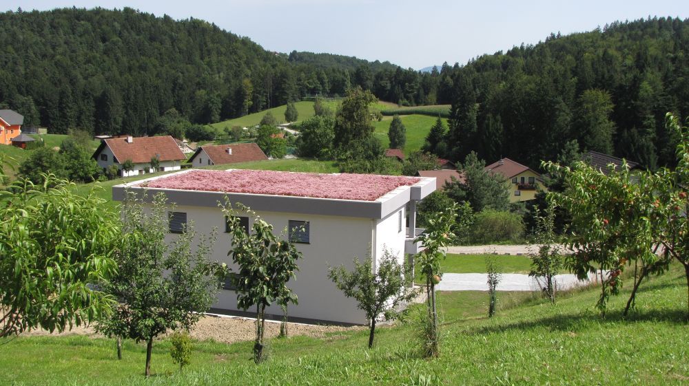 detajl zelene strehe