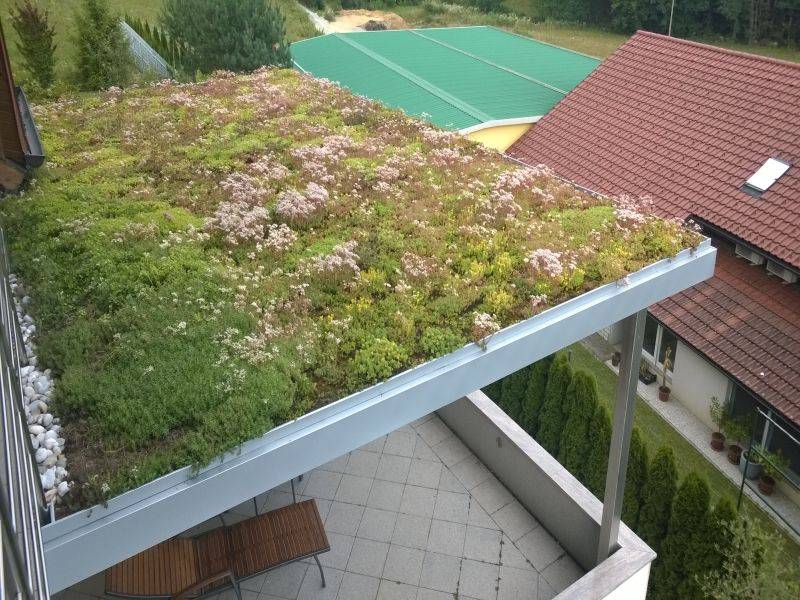 zelena streha na stanovanjski hiši