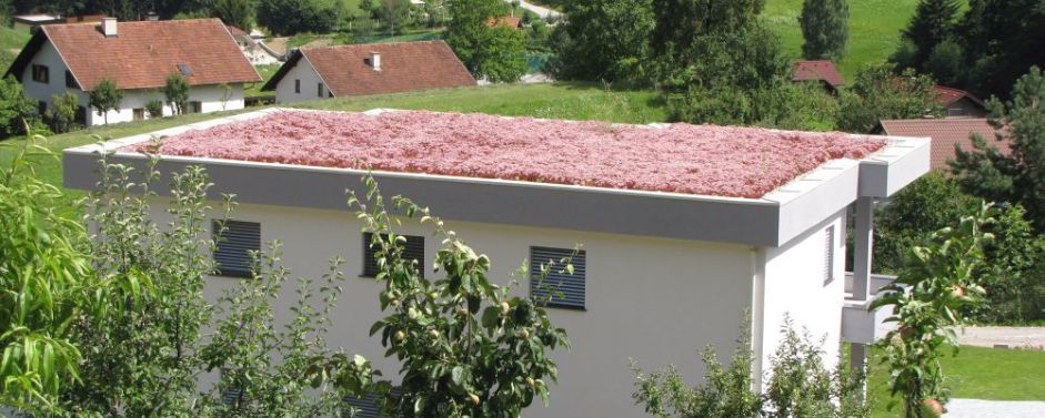 Detalji pri izdelavi zelene strehe