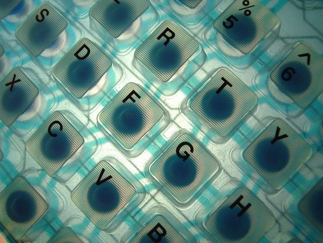 Nova oziroma dodatna zaposlitev