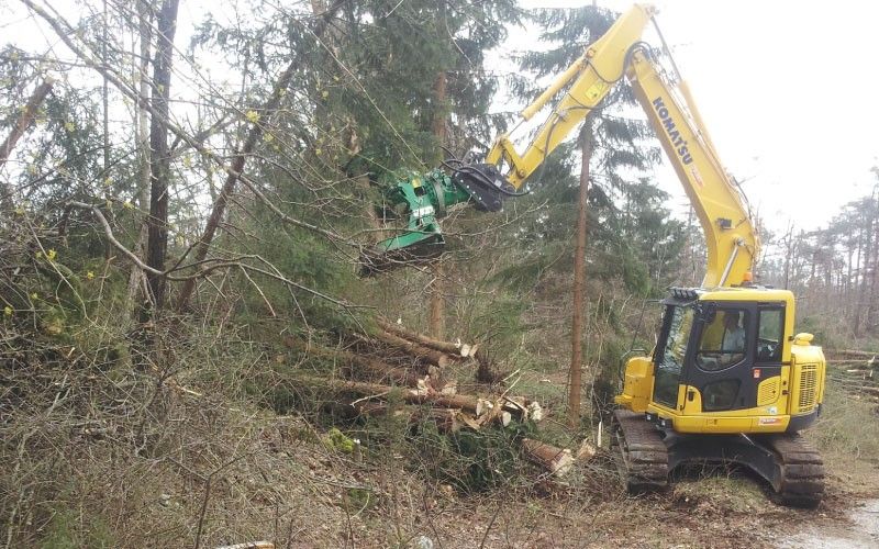 Posek in obrezovanje drevja