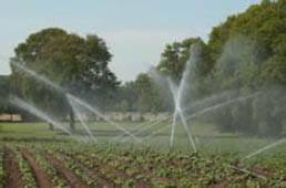 namakalni sistemi za kmetijstvo povečajo pridelek