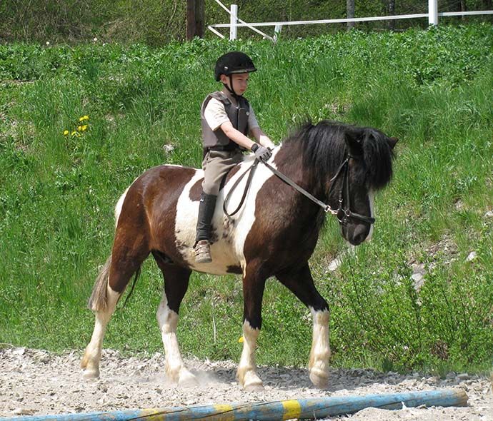 jahalna šola