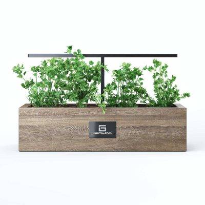 Led svetila za rastline