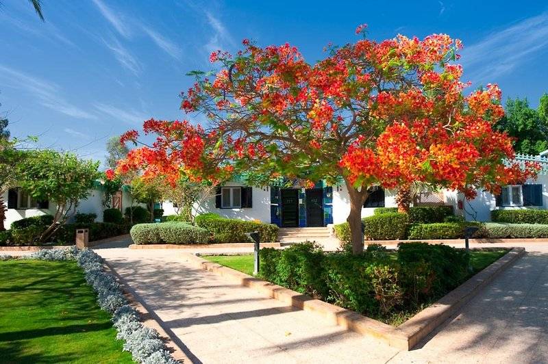 sharm el sheikh hotel ghazala gardens