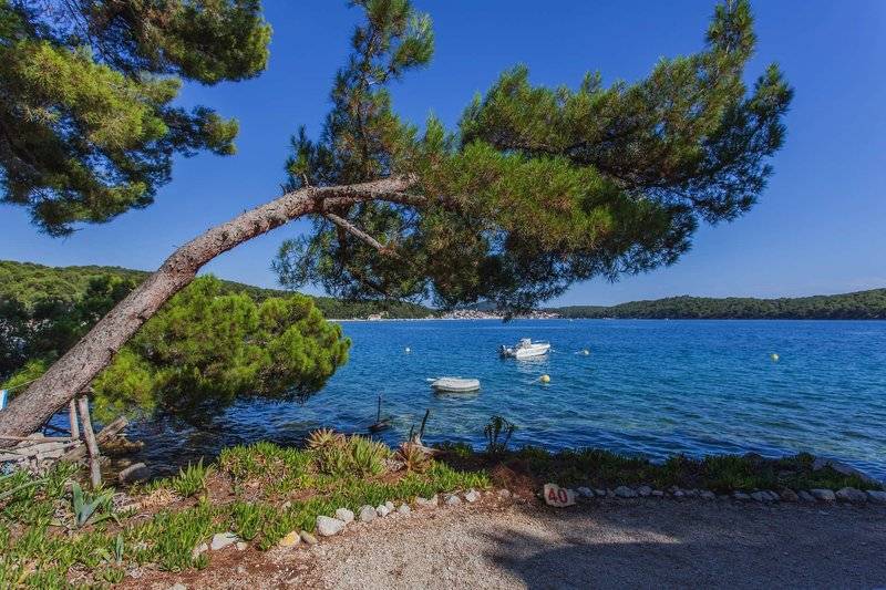 Kamp poljana v krasni, neokrnjeni naravi