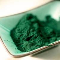 Spirulina alga
