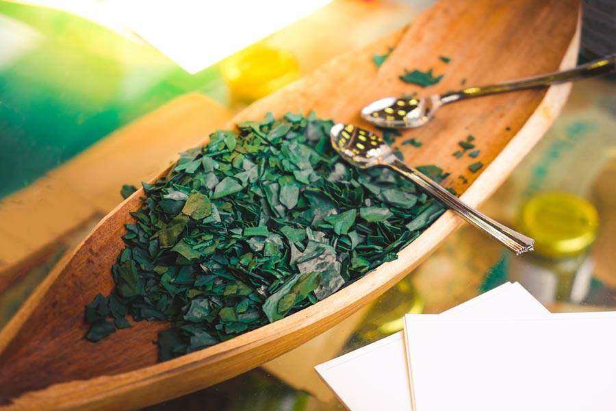 Alga spirulina 