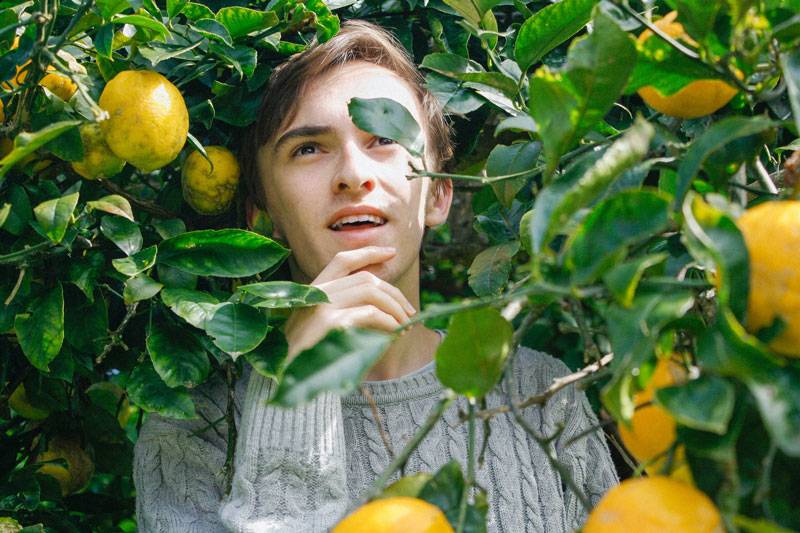 Vitamin C v prehrani