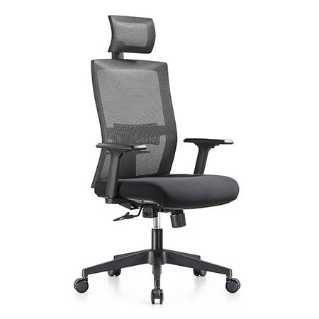 Ergonomski pisarniški stol Ergos Standard