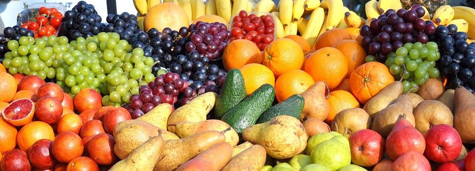 Vitamini za imunski sistem