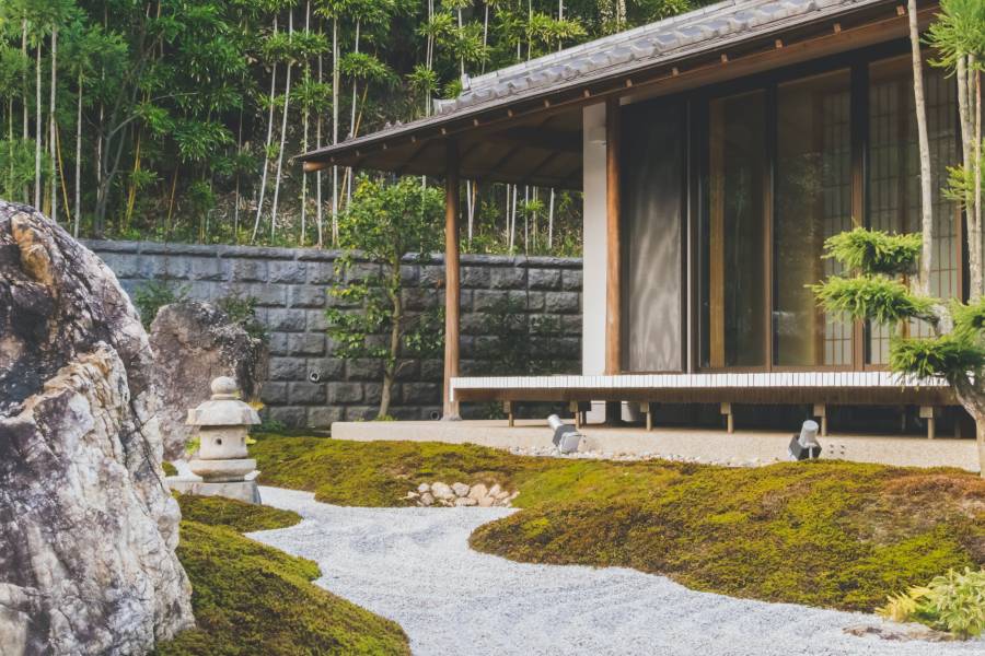 Najboljši zeleni čaji prihajajo iz Japonske. Kitajske in Koreje