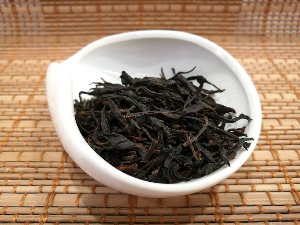 Oolong čaj priprava