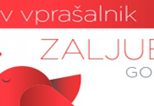 Valentinov Gorenje vprašalnik