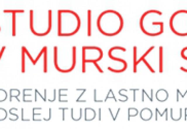 Studio Gorenje v Murski Soboti